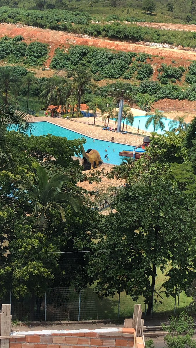 Será que hoje pede ??