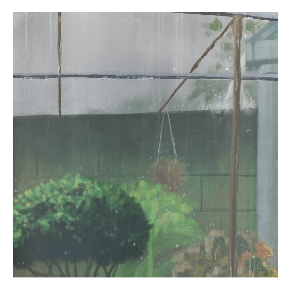 Back garden when it rains