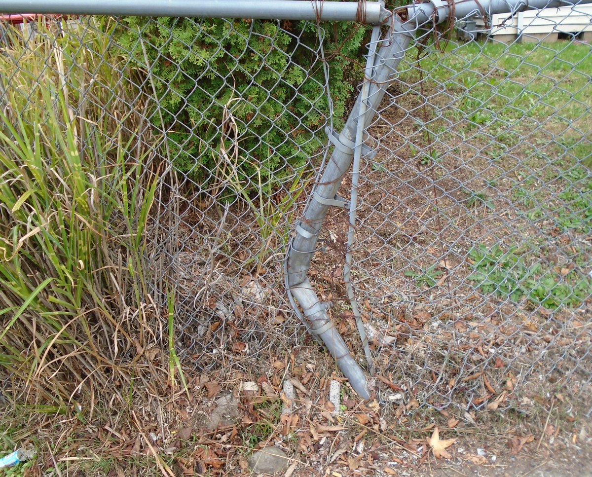 BluCollarGent's tweet photo. "Bent Fencepost" from #EyesOnPDX

#bentfencepost #pdx #portlandOR #rosecity #ripcity #stumptown #bluecollarvalues #gentlemanlystandards #thebluecollargentleman https://t.co/52Pjl5nsUj