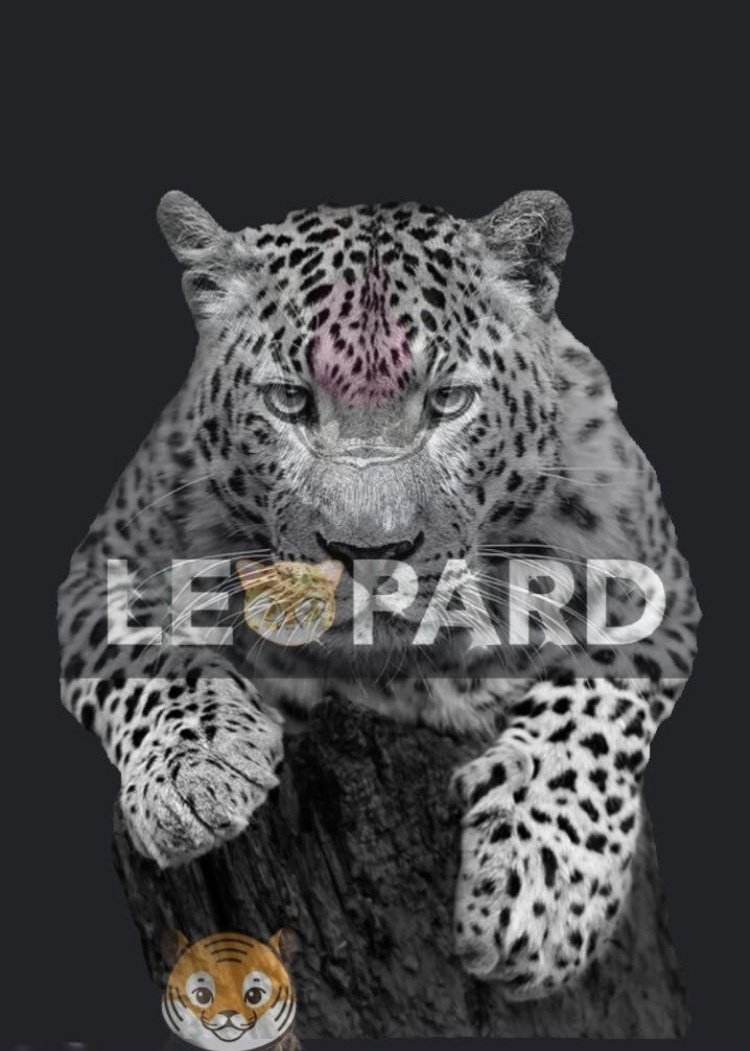 CryptosExC's tweet photo. @luciano_eltirri #leopardarmy #leopardwallet #bignews #crypto #leopard #certikaudited https://t.co/87DotX8vbO