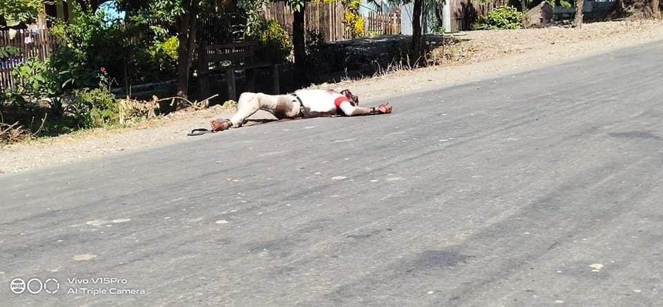 nslwin's tweet photo. KALE, Sagaing:

At least 20 unarmed civilians have been KILLED in Nat Chaung village by SAC Terrorists. Thousands of villagers have been displaced. They all need urgent humanitarian assistance. 

#WhatsHappeningInMyanmar #Dec27Coup https://t.co/1wjYKUCgJz