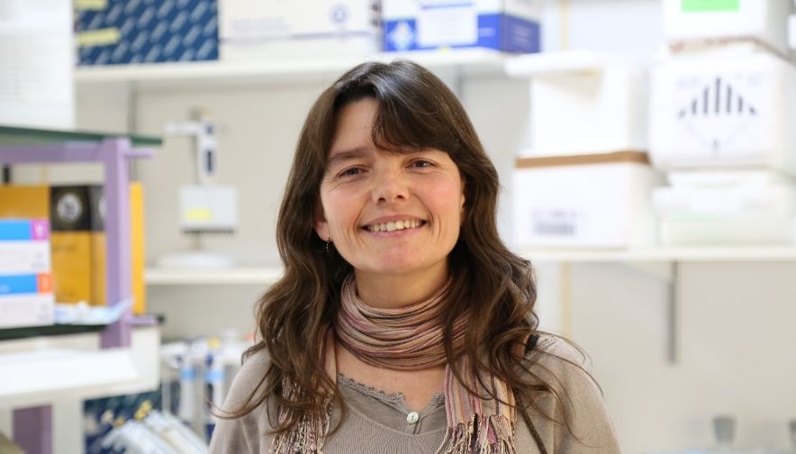 VHIR_'s tweet photo. La Dra. Eva Baldrich, cap del grup de Nanoeines diagnòstiques del #RecercaVH, ha obtingut un ajut @CaixaResearch Consolidate 2021 pel projecte Cèl·lules sintètiques per a millorar el control de les infeccions víriques. #CaixaResearchFundlaCaixa

Més info: https://t.co/v9hZPoSKCb https://t.co/HAq6G2Wc8V