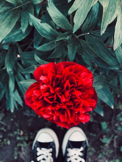 PropiaSalud's tweet photo. Photo By Elena Amalia | Unsplash - via @Crowdfire
#costumedesign #handwriting #leaffly #customt-shirt #webtips https://t.co/7pXPyQNVFy