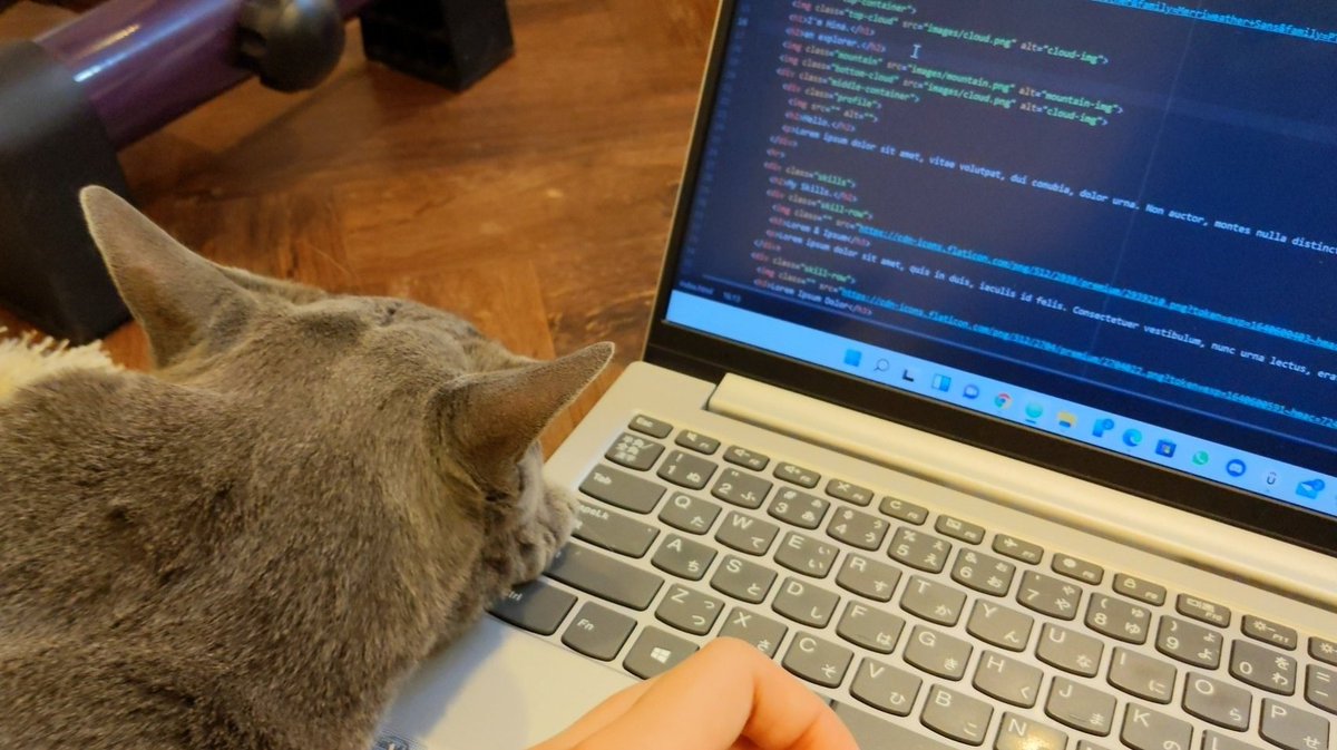 lazzzy_person's tweet image. My code buddy!💓
And what actually on my screen are just lorem and stuffs😂
#100DaysOfCode #codebuddy #cats #Caturday #CatsOfTwitter #HTML5 #CSS3 #webdeveloper #webdevelopment