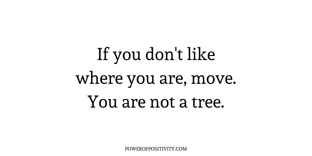 LIVEpositivity's tweet photo. If you don't like where you are, move. You are not a tree. https://t.co/emh6OCrjvG