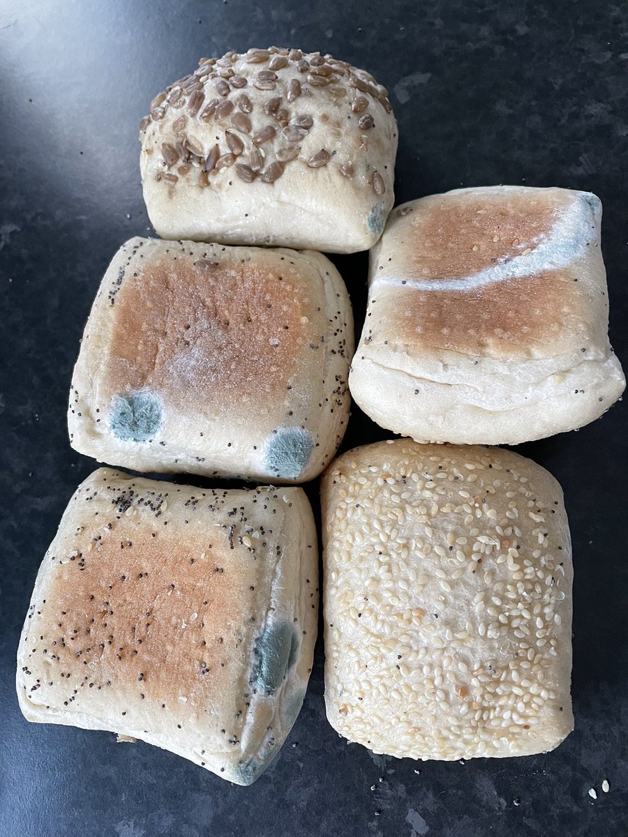 nicolette2973's tweet photo. @AldiUK I went to use my part baked rolls this morning to make my family some Turkey rolls and this is what I found! #NoTurkeyRollsForUs https://t.co/zYMytGmK3x