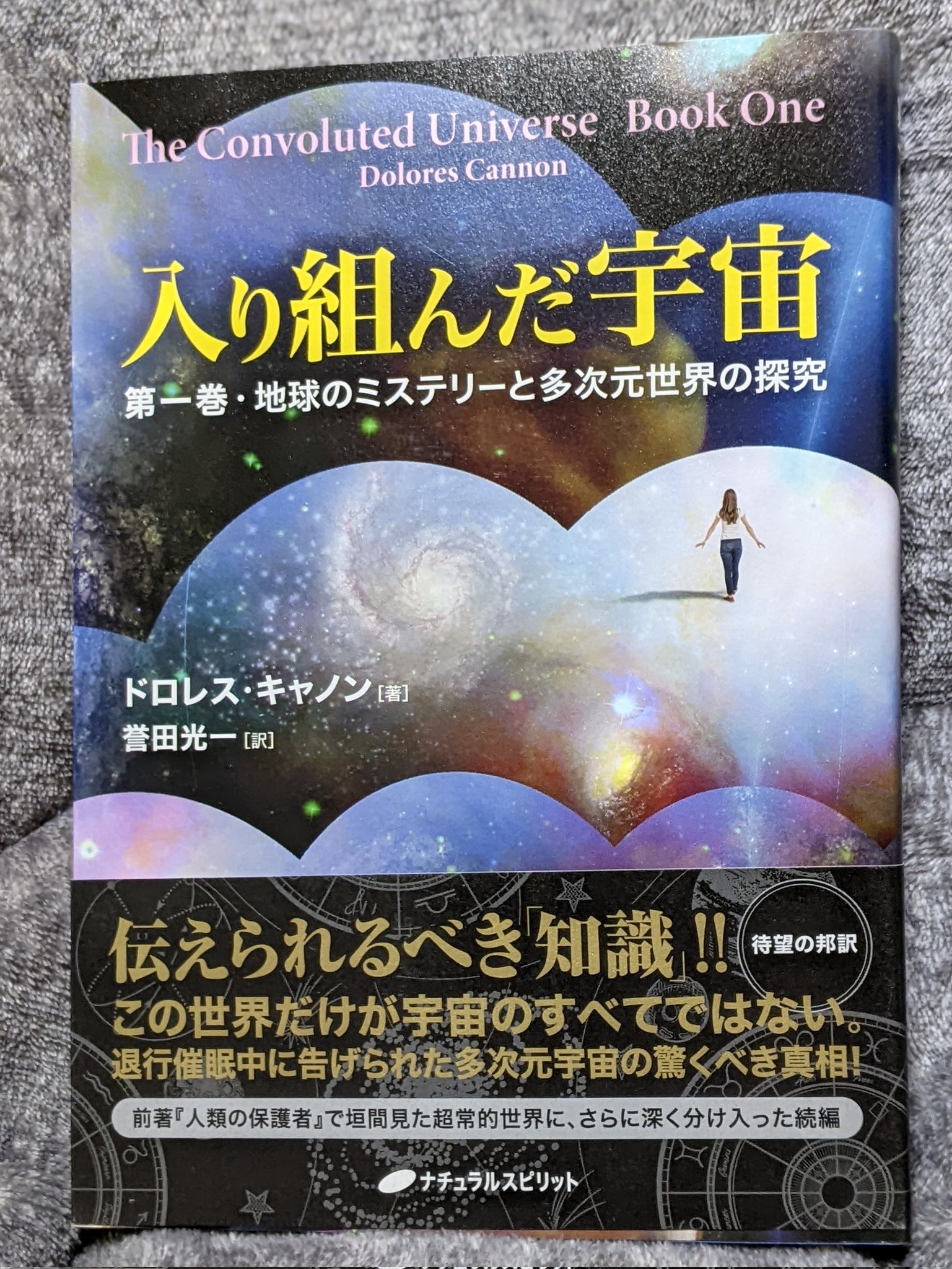 入り組んだ宇宙 第一巻・地球のミステリーと多次元世界の探究