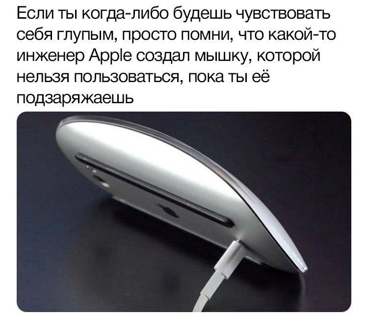 Gribanov's tweet photo. https://t.co/iUcSK4uw0f