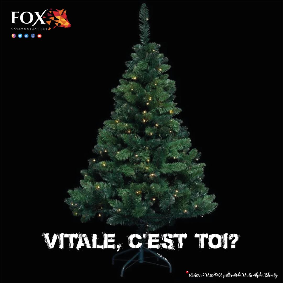 ilovefoxcom's tweet photo. Joyeux Noël à tous et a toutes . Les ivoiriens savent ce que ce sapin représente lol #vitale #COmmunication #sansfrontière #CommunityManager https://t.co/YtLRJrIfsx
