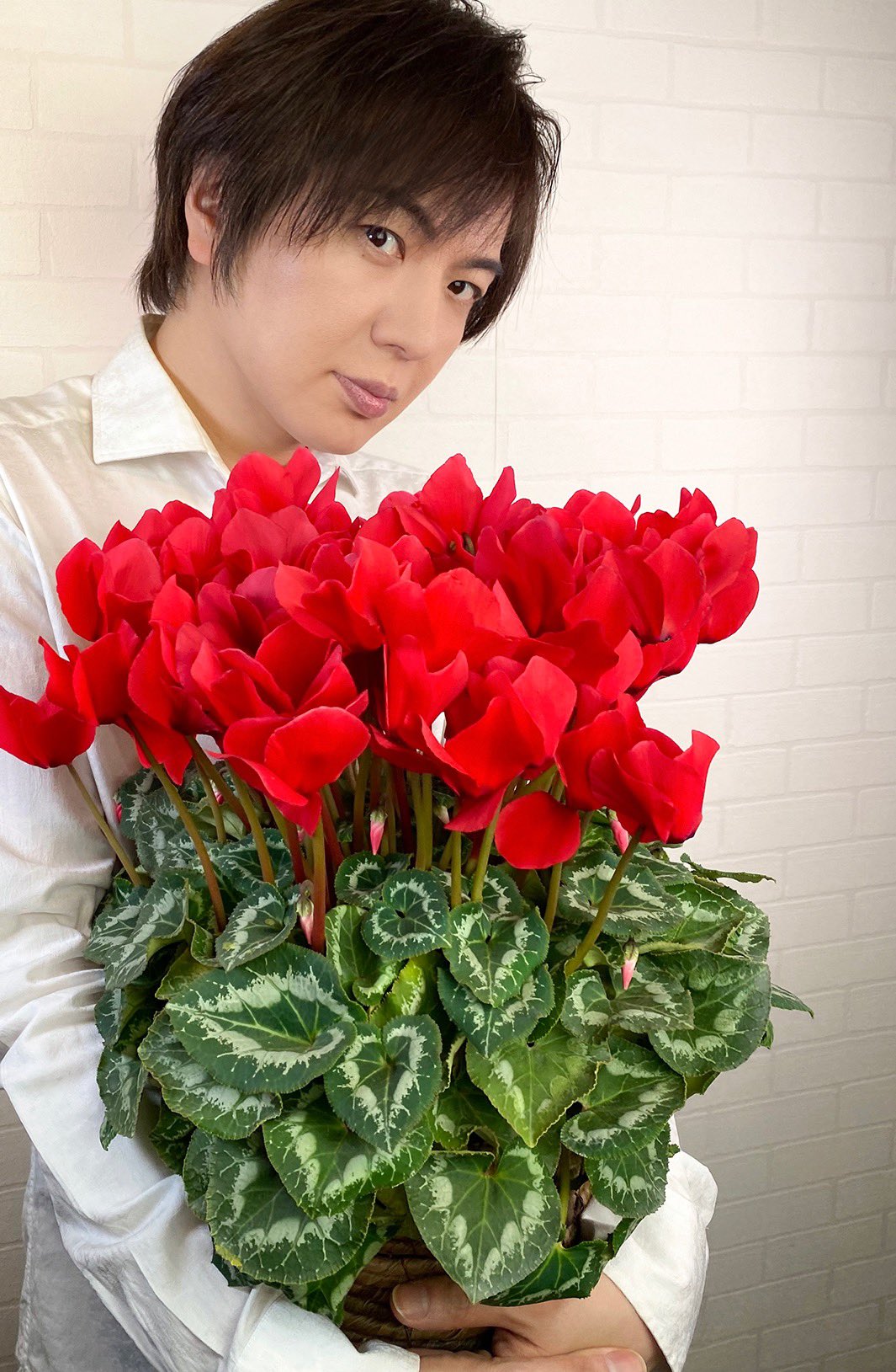 竹島宏スタッフ 公式 シクラメン 赤 花言葉は 愛情 愛情を色に例えると赤 赤い花はロマンティック より少しだけ強め 今日も１日お疲れ様でした ひろネット 花便り 花言葉 花 花を贈ろう 感謝 絆 花のある暮らし 花のある生活 花