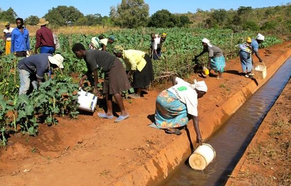 africa_analysis's tweet photo. Zimbabweans are proudly slaves of South Africans. 
#Zuma #Zodwa #Fourways #Africans https://t.co/sxui0hD78X