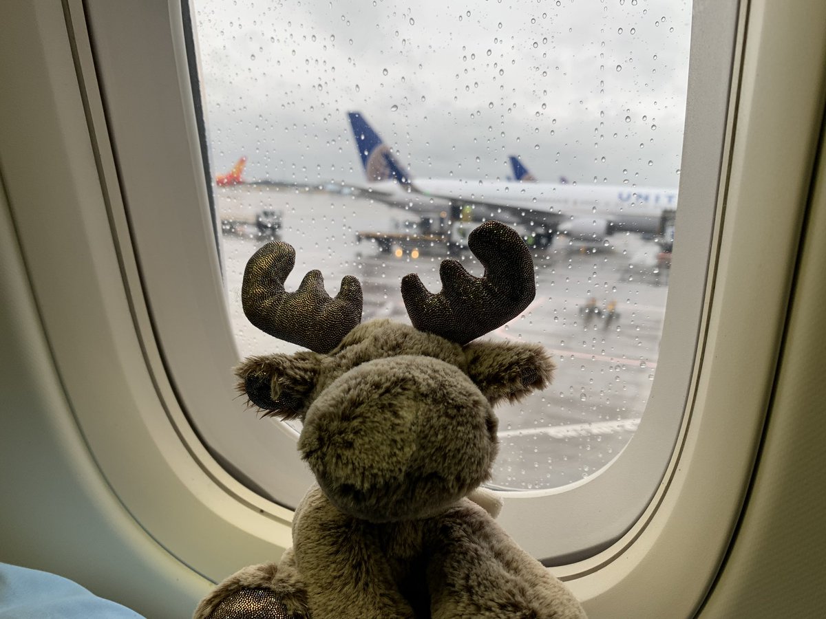 MyMooseTravels's tweet photo. Nearly ready to takeoffs with @united UA17 this is my #loadsaHoofRoom shot 🤣 #UnitedStates #moosetravels #loadsalegroom https://t.co/9UE41UcCl2