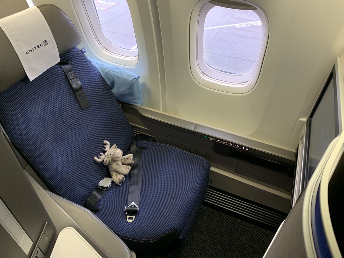 MyMooseTravels's tweet photo. Nearly ready to takeoffs with @united UA17 this is my #loadsaHoofRoom shot 🤣 #UnitedStates #moosetravels #loadsalegroom https://t.co/9UE41UcCl2