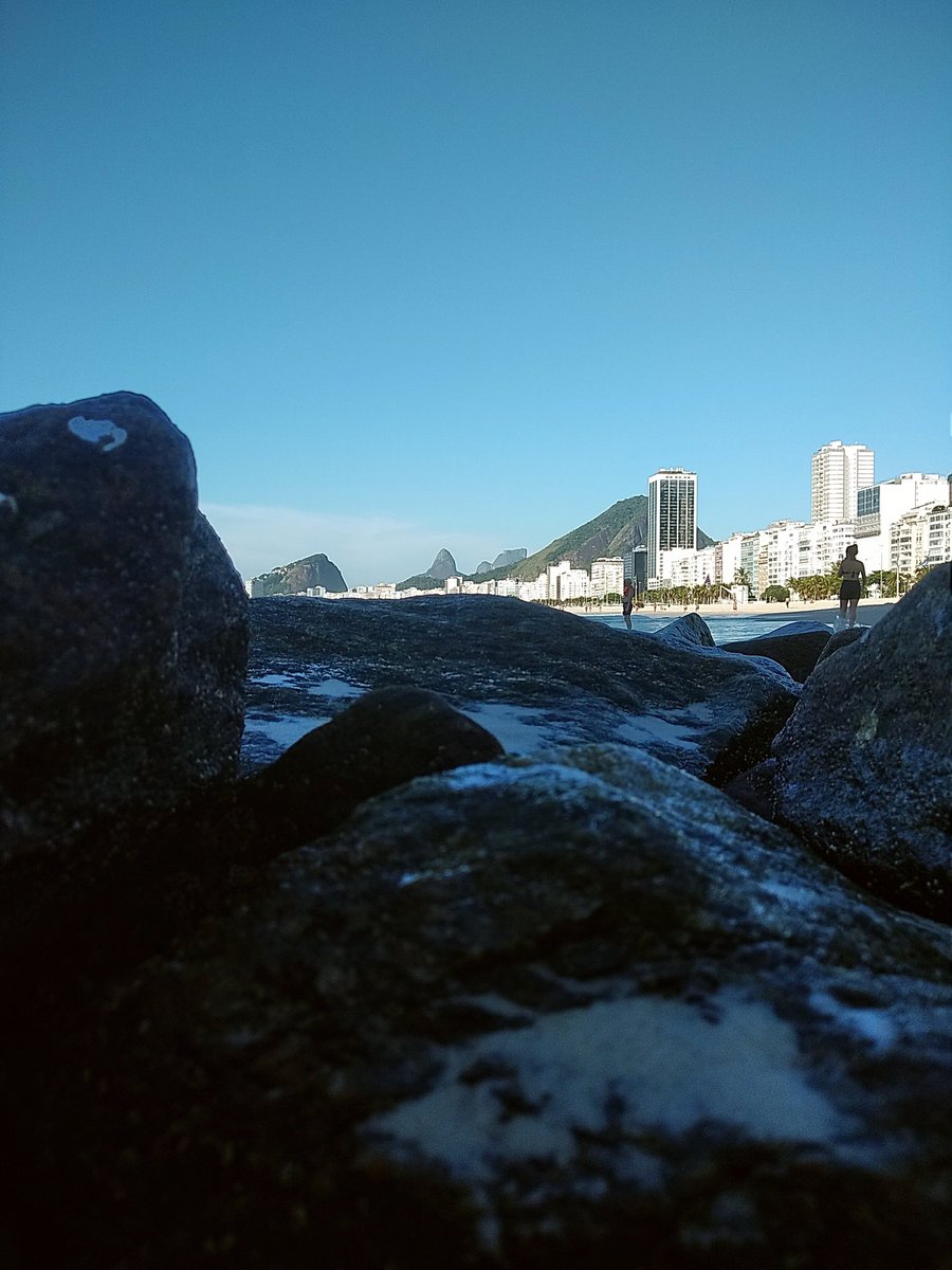 Project Favela tweet media