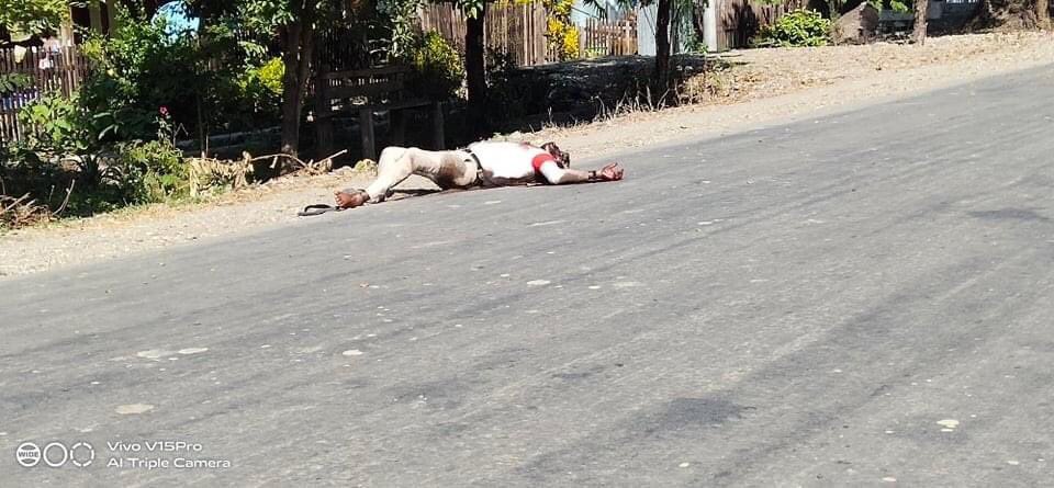 nicholas6284's tweet photo. Up to 20 civilians have been killed in Nat Chaung village, Kalay Tsp after the fascist army shoot everyone on sight today 27/12. 
#WhatsHappeningInMyanmar https://t.co/13BywUC1Rw