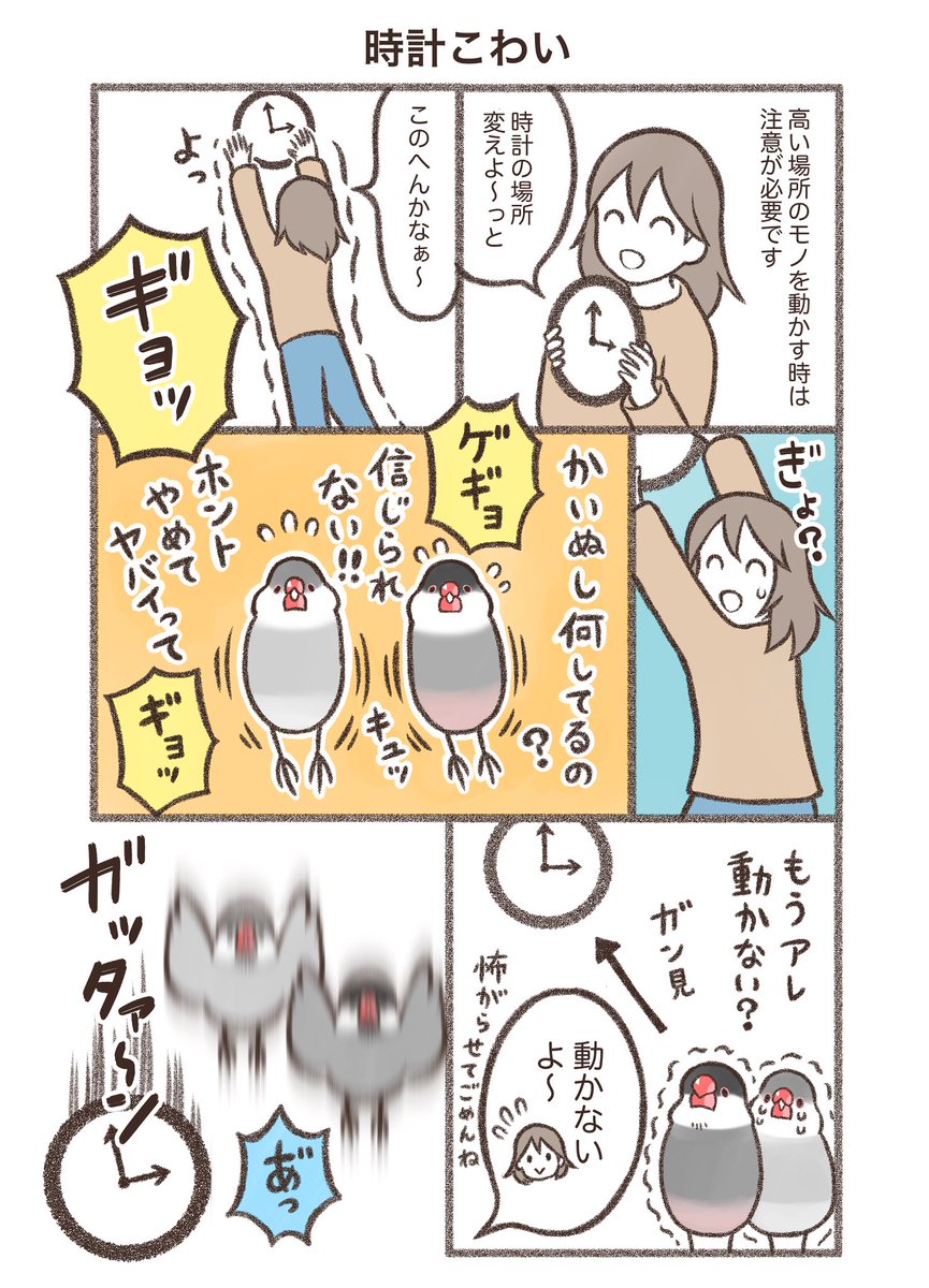 鳥野家の小鳥たち
マンガ「時計こわい」🕛

※同人誌収録バージョン
#文鳥 #漫画が読めるハッシュタグ 