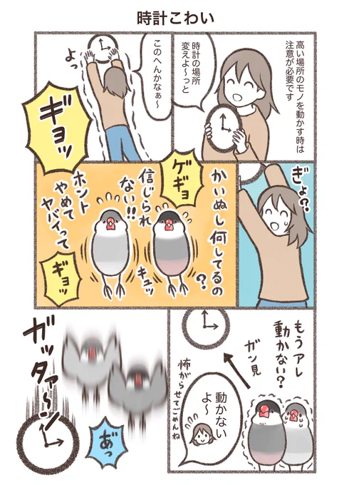 鳥野家の小鳥たちマンガ「時計こわい」※同人誌収録バージョン#文鳥 #漫画が読めるハッシュタグ 