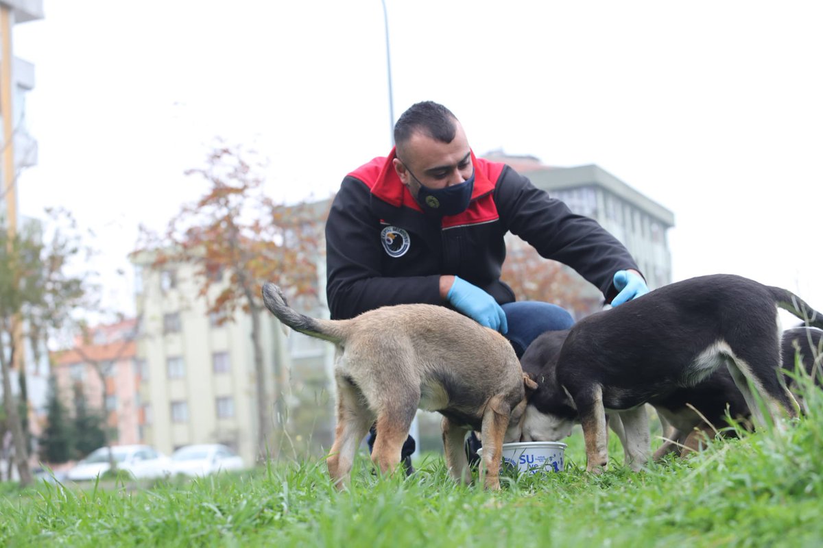 kartalbld's tweet photo. Değerli komşularımız,

Aynı yaşamı paylaştığımız can dostlarımıza büyük ailemizin birer ferdi olarak yaklaşmayı sürdürüyoruz. Onların haklarını daima gözeteceğiz, koruyacağız ve onları asla sahipsiz bırakmayacağız.  🐾
#SokakHayvanlarıSahipsizDeğil https://t.co/tn2CgLm9Xe