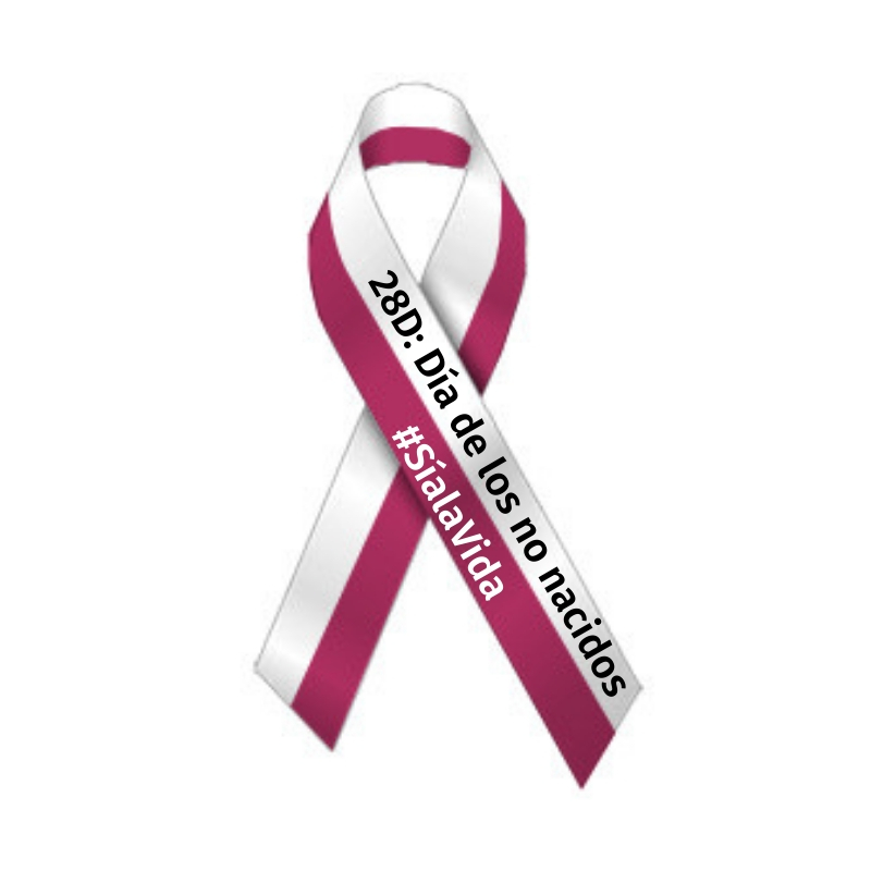 #28DConVdeVida Hoy te invitamos a poner en los perfiles, estados e historias de tus redes sociales el lazo bicolor del #SíalaVida. Demuestra que defiendes la vida. <a href="/ProyectoMater/">Proyectomater</a> <a href="/delfamiliatoled/">Deleg Familia y Vida Toledo</a> <a href="/postoladoseglar/">Deleg. Apost. Seglar</a> <a href="/AcgToledo/">Acción Católica General de Toledo</a>