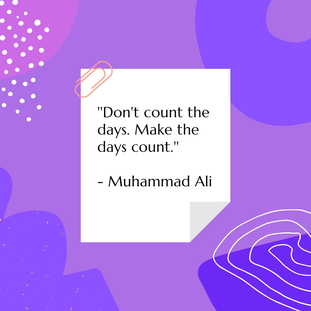 Nova Search tweet media