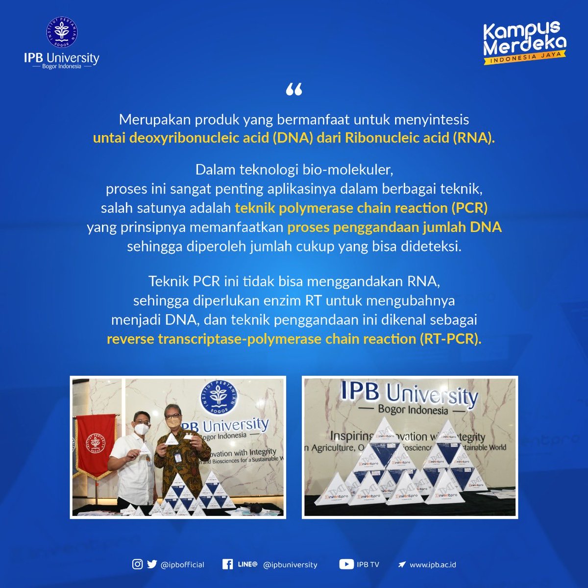 IPB tweet media