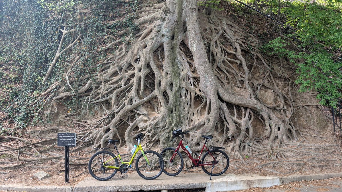 JRRTolkien's tweet image. “It is a lovely language, but it takes a very long time saying anything in it, because we do not say anything in it, unless it is worth taking a long time to say, and to listen to.” #Treebeard on #Entish #Tolkien