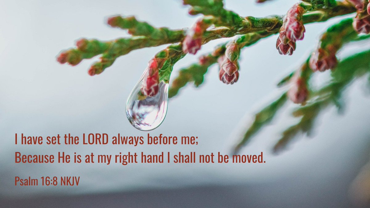 Father, we thank you for this new day. We have many things to accomplish but we need your help to get them done. We ask for your wisdom in how we should prioritize these matters.