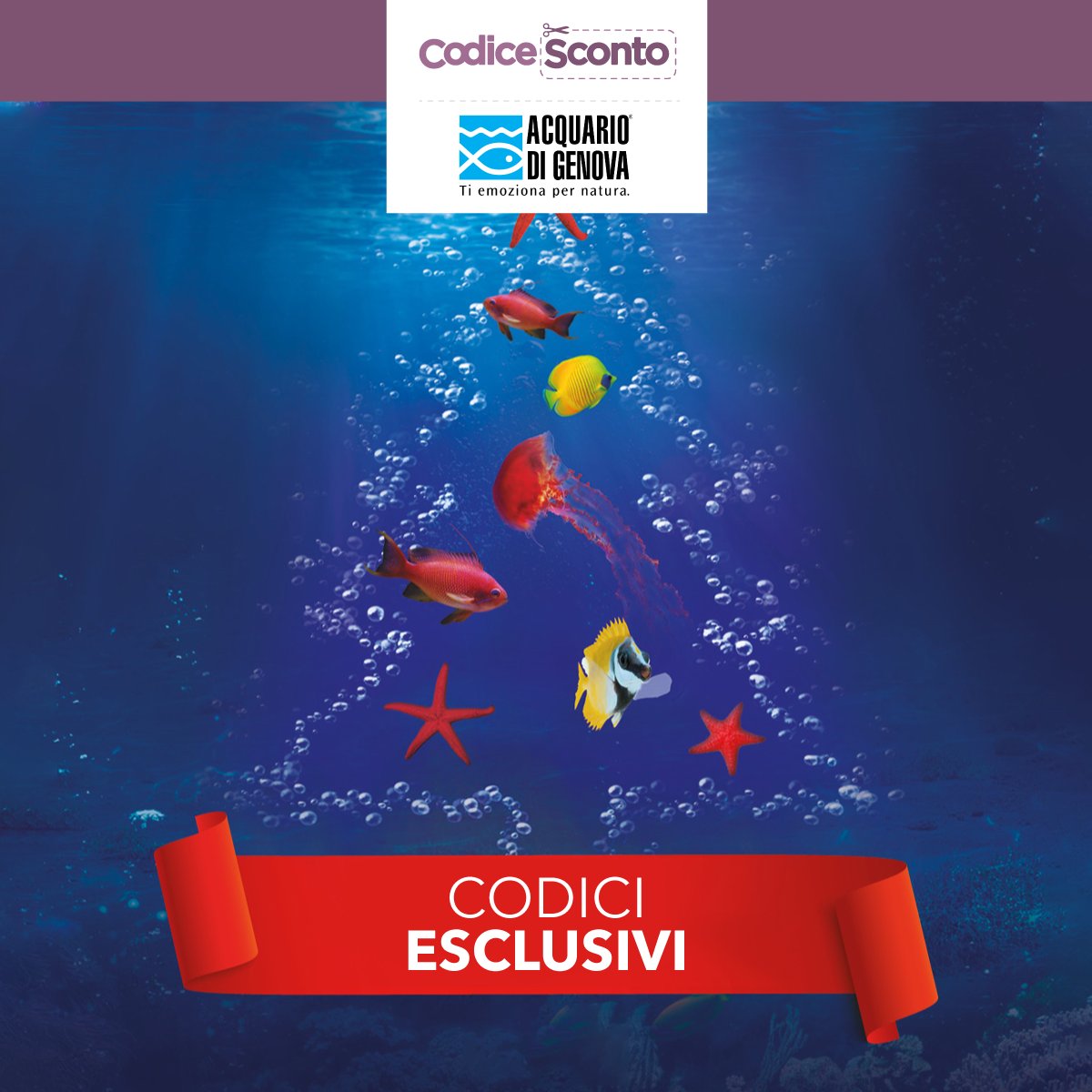 Codicesconto.com tweet media