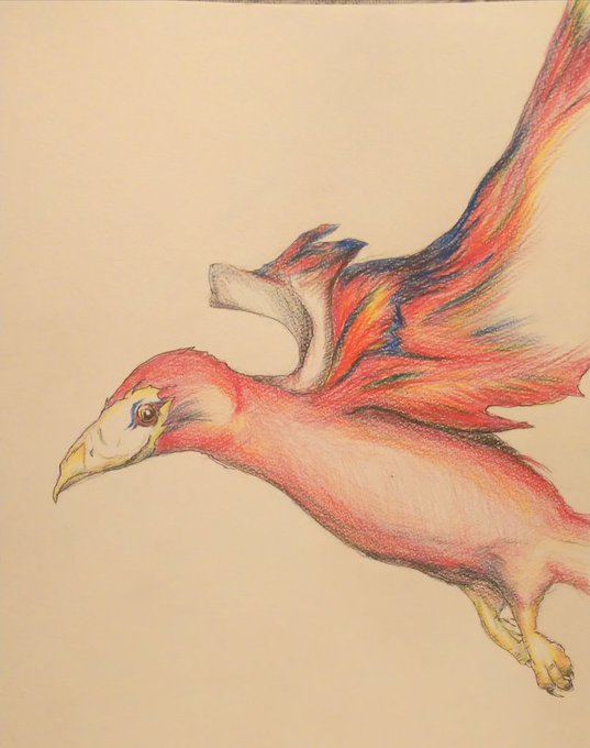 怪鳥のtwitterイラスト検索結果