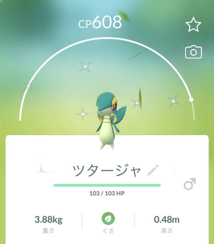 ポケモンgo ツタージャの色違い 入手方法と実装状況 攻略大百科 ポケモンgo ツタージャの色違い 入手方法と実装状況 攻略大百科