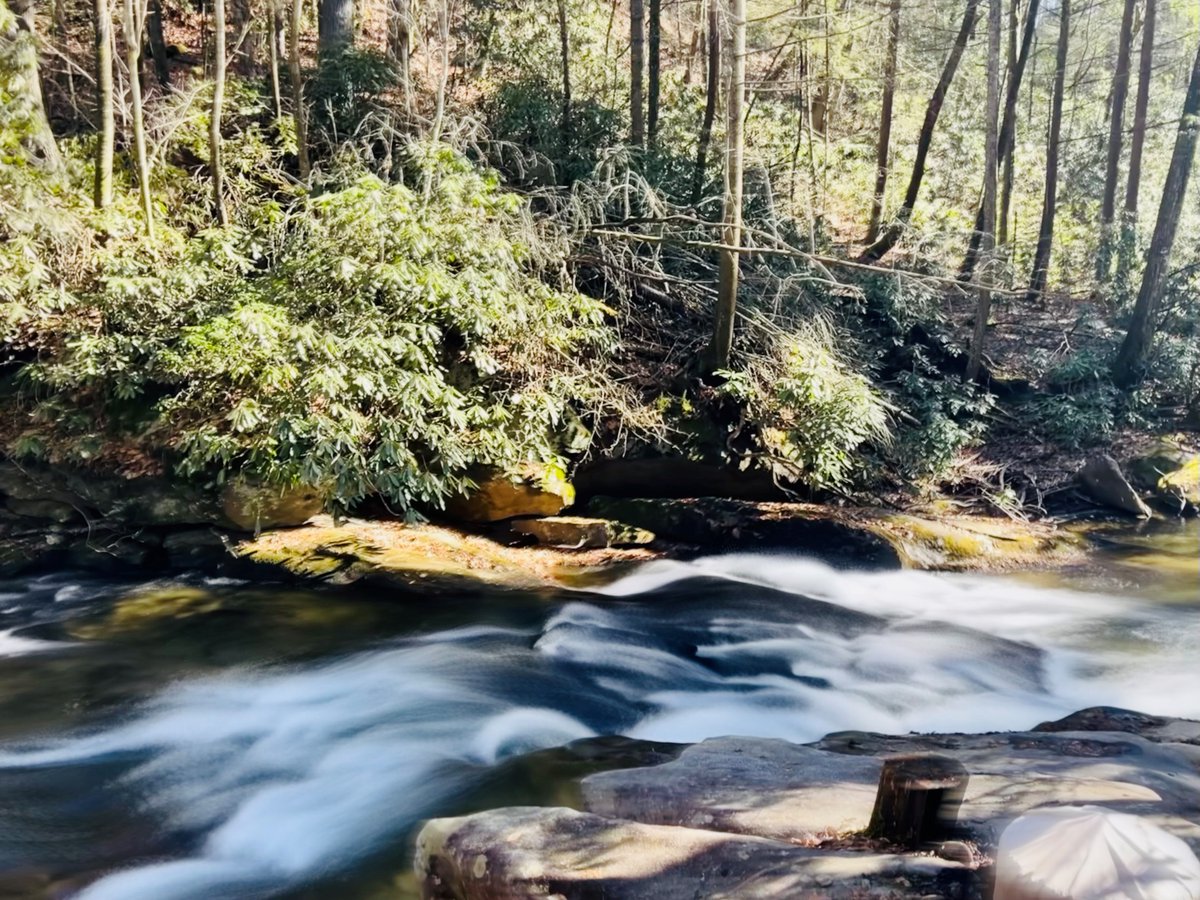 GA_MTN_CABINS's tweet photo. Whitewater Overlook: where you're never more than a short walk from the creek 😃 This new waterfront cabin is now available for your New Years celebration! 

See more pics &amp; booking calendar: https://t.co/jre2J4DKbX

#newyear #cabinrental #waterfront #vacation #blueridgega https://t.co/9j6gK5wGfG