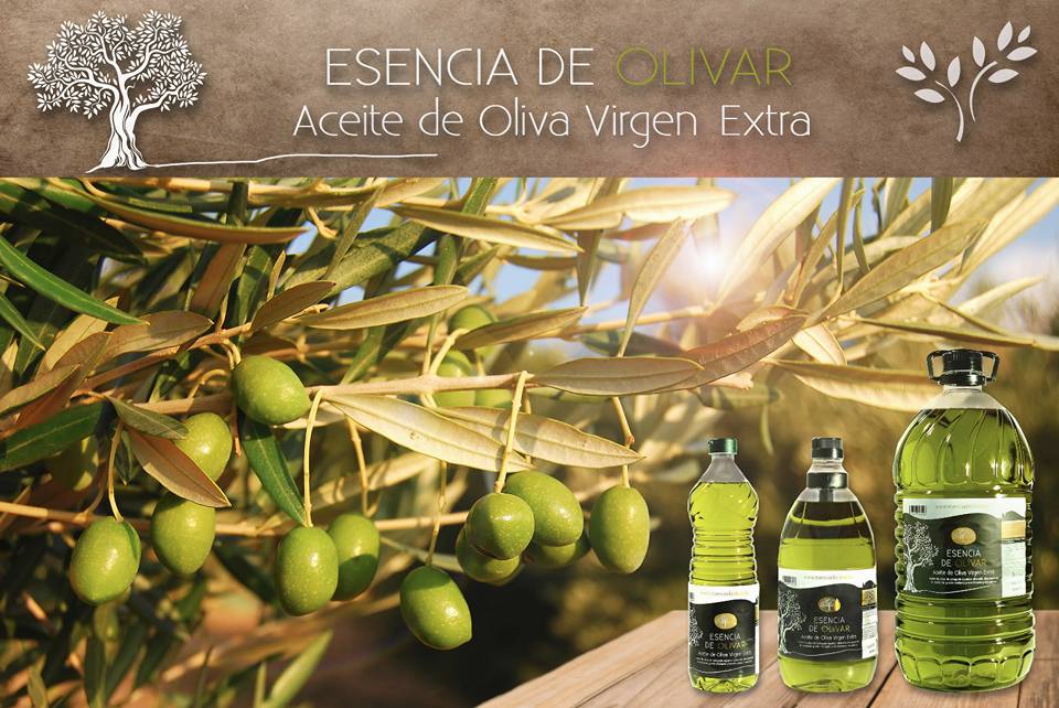 ⚠️¿Aún no sabes qué regalar esta Navidad? 

🎄Ahora lo tienes en tu mano, desde <a href="/EsenciaDeOlivar/">Esencia de Olivar</a> te llevamos a tú domicilio el mejor Aceite de Oliva Virgen Extra. Los Reyes Magos vienen de camino.., ¿A qué esperas?🎁

📲669 54 58 95