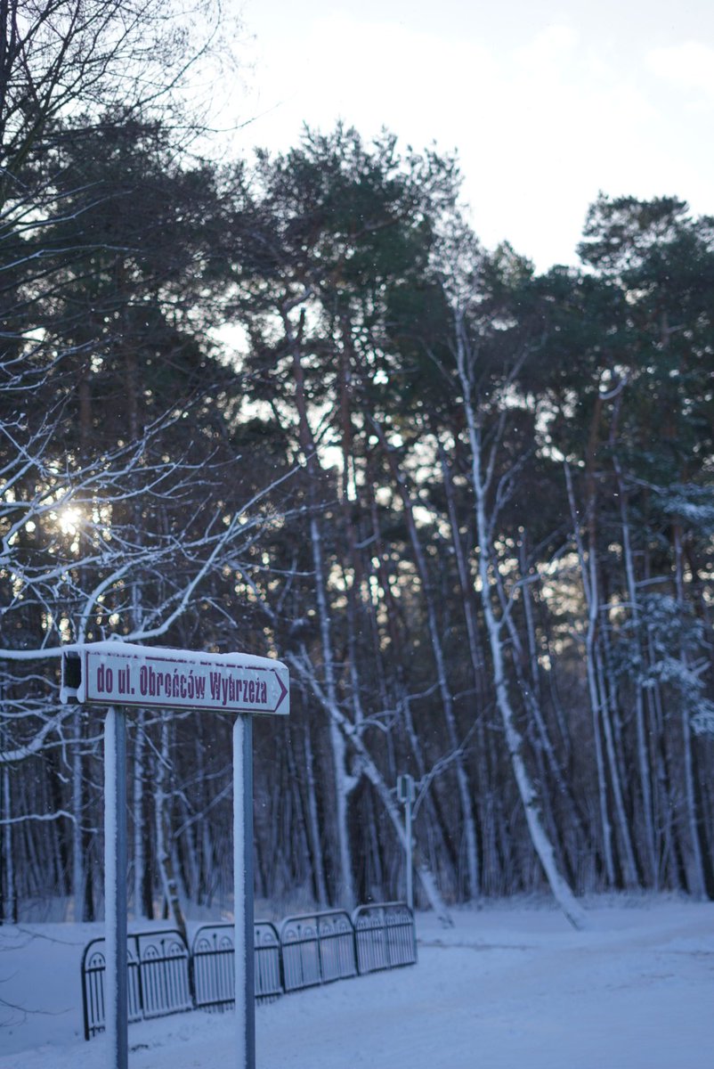 tymrudnik's tweet photo. Baltic Christmas https://t.co/Rg8YHD7GZC