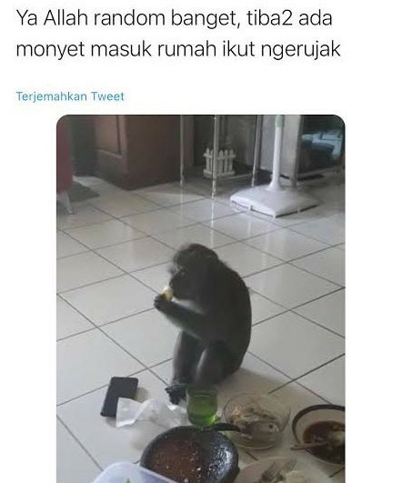 alessaoncrypto's tweet photo. https://t.co/ngoY6meYNa