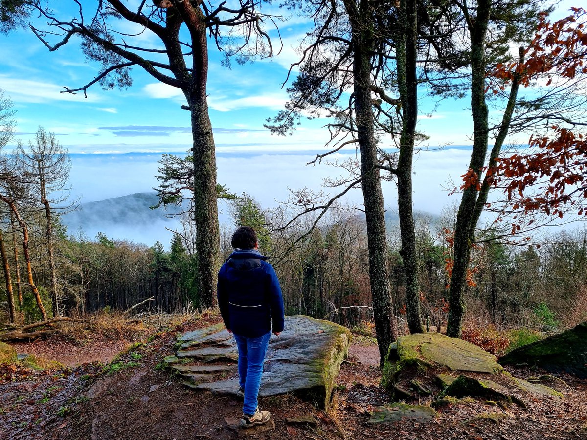 KazunguHass's tweet photo. Hoch auf die #Kalmit, raus aus dem Nebel. #Pfalz #Pfalzliebe https://t.co/JOkDboDYIv