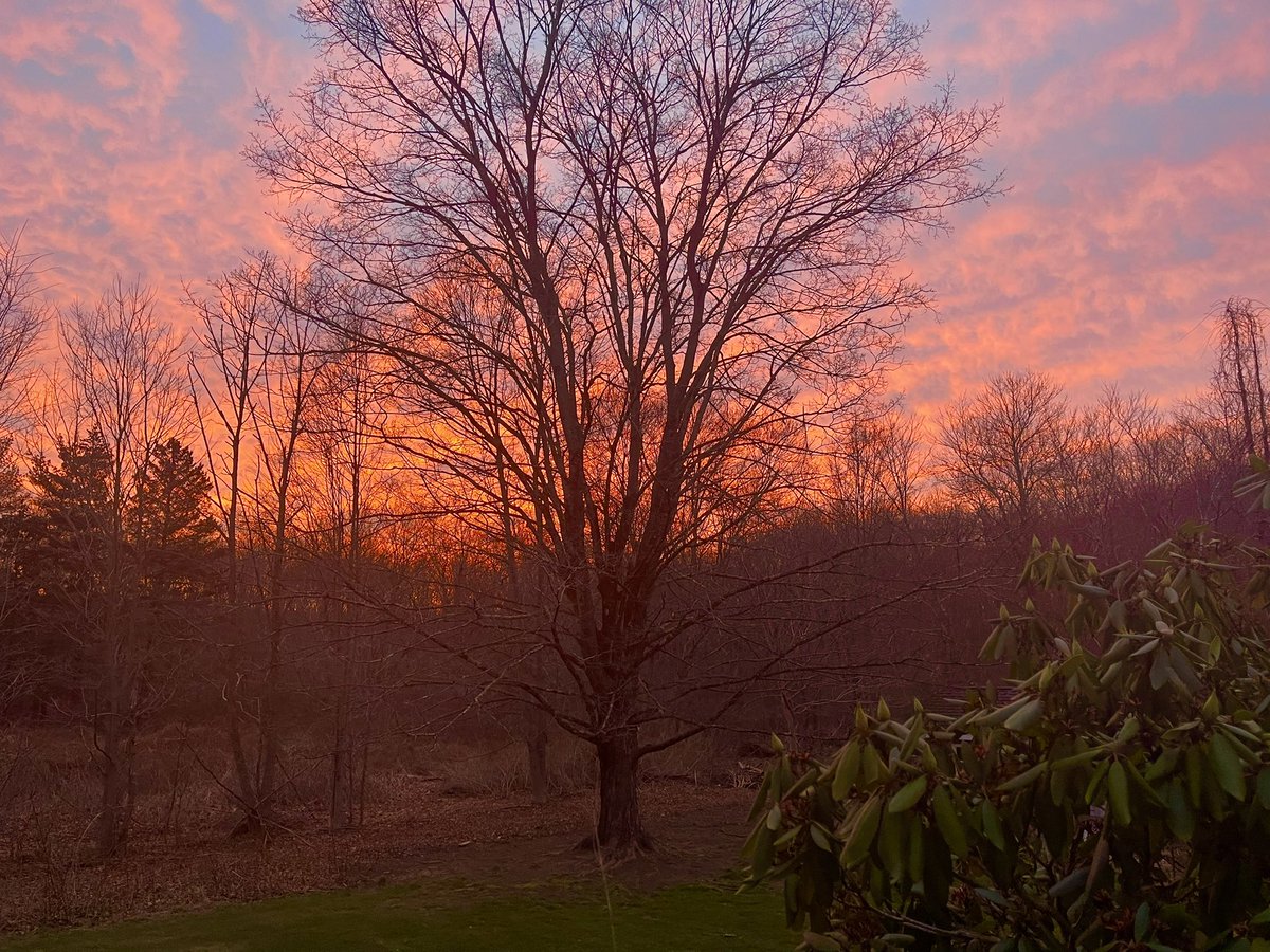 Mandee_75's tweet photo. Sunrise in Watertown from my backyard! Good morning! @bobmaxon @NBCConnecticut #sunrise #nofilter #mybackyard #Beautiful #goodmorning https://t.co/S78dkIYtlZ