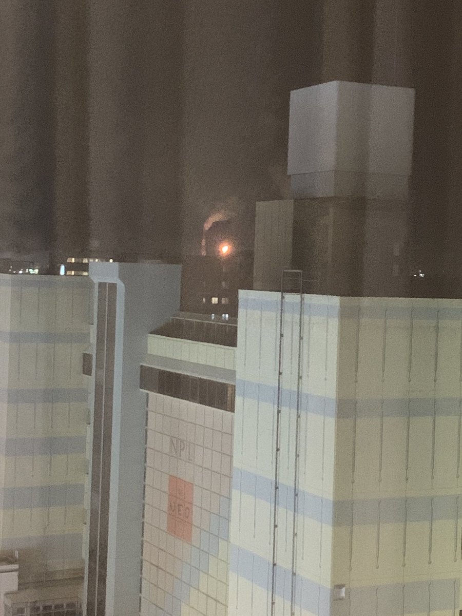 kinちゃん tweet media