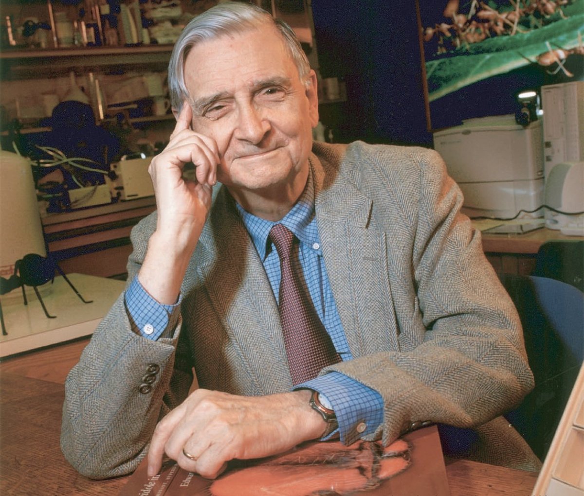 TetZoo's tweet photo. E. O. Wilson has died, aged 92. An exceptional biologist, often compared to Darwin, and best known for his work on ants and island biogeography. [Image Jim Harrison CC 2.5] https://t.co/I38BCCuUoF