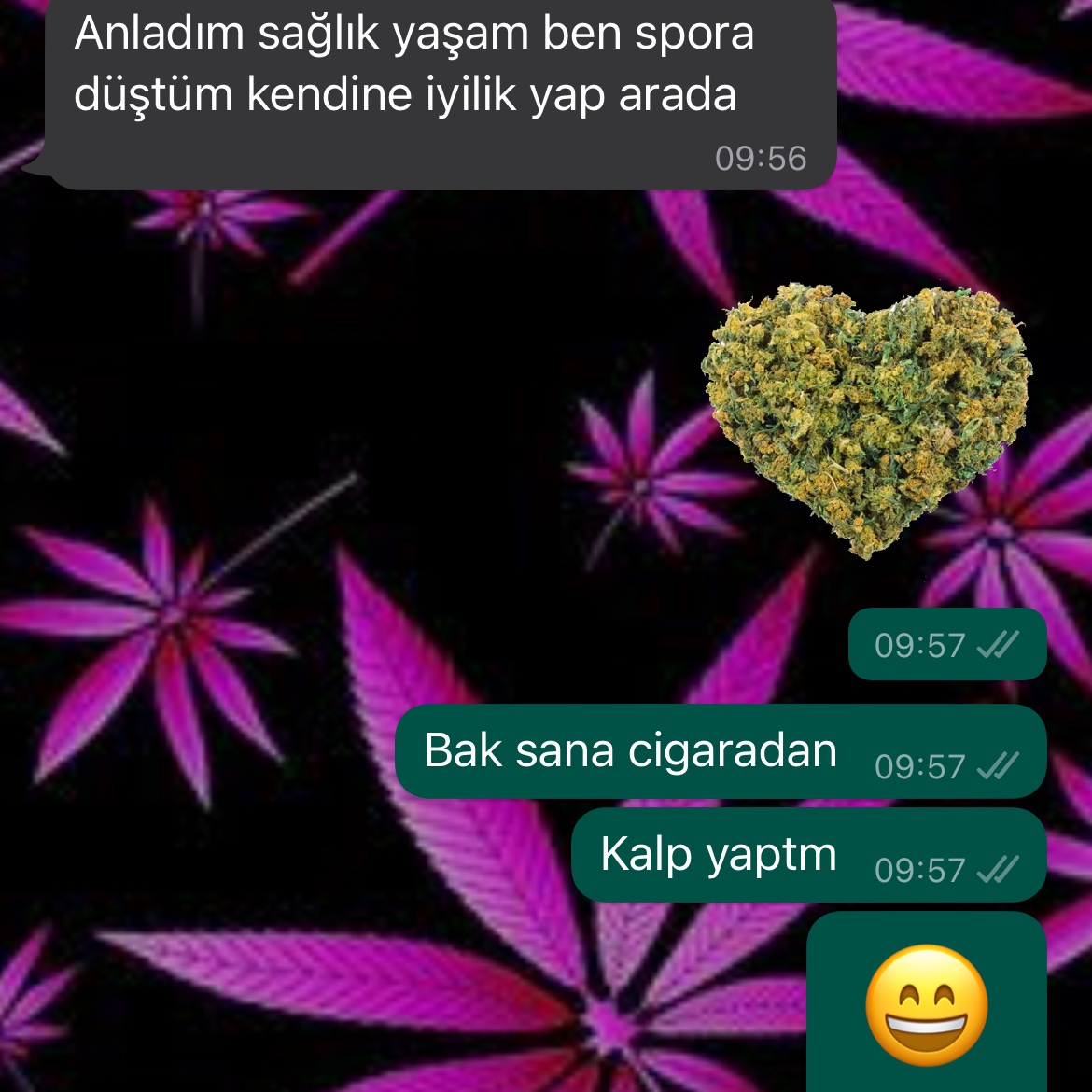 Benim kafanın isleyisi 🤣
