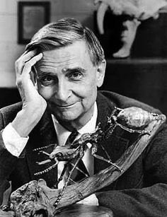 César A. Hidalgo tweet media