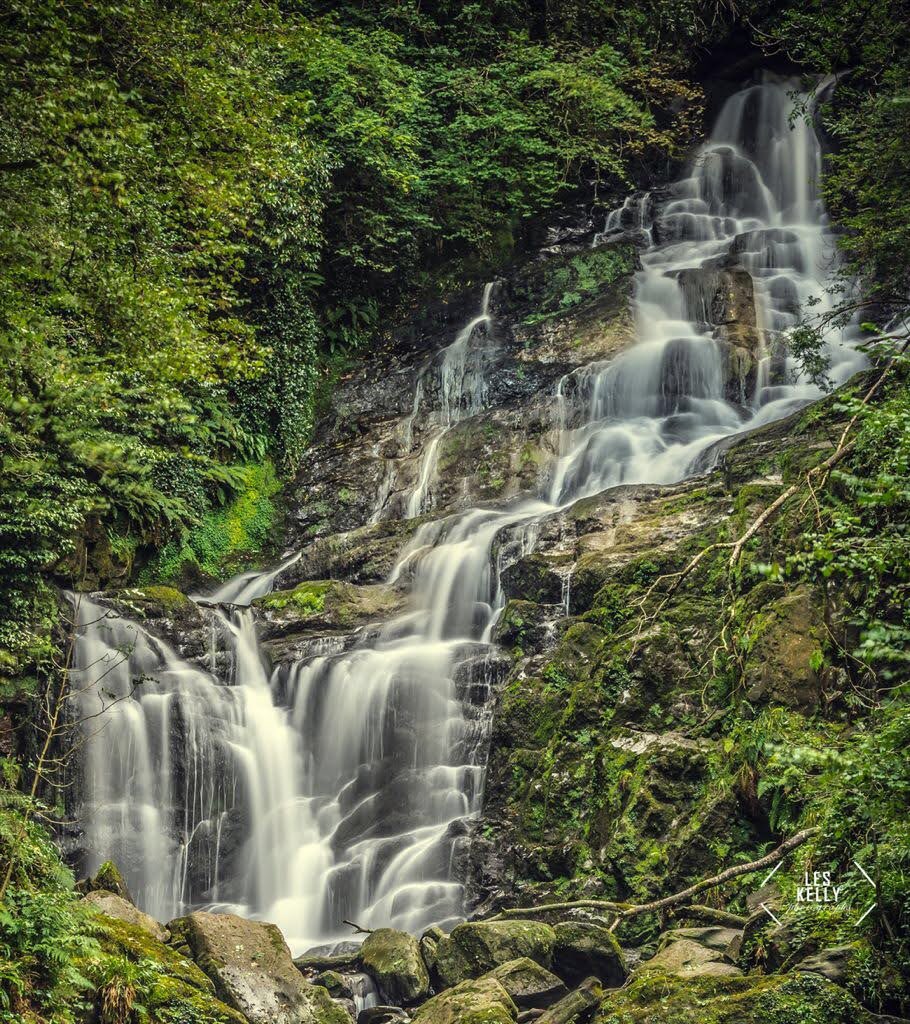 Les Kelly Photography tweet media