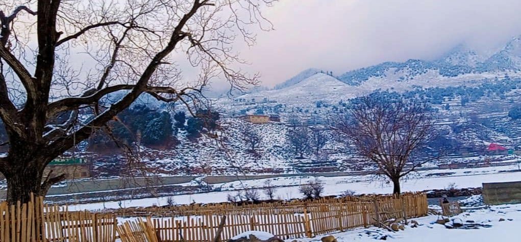 kumratvalley's tweet photo. After #Snowfall2021 Glimpses
#kurmatvalley #kumrat
credit: Said Nawab Mirza https://t.co/sRwOHMrNDW