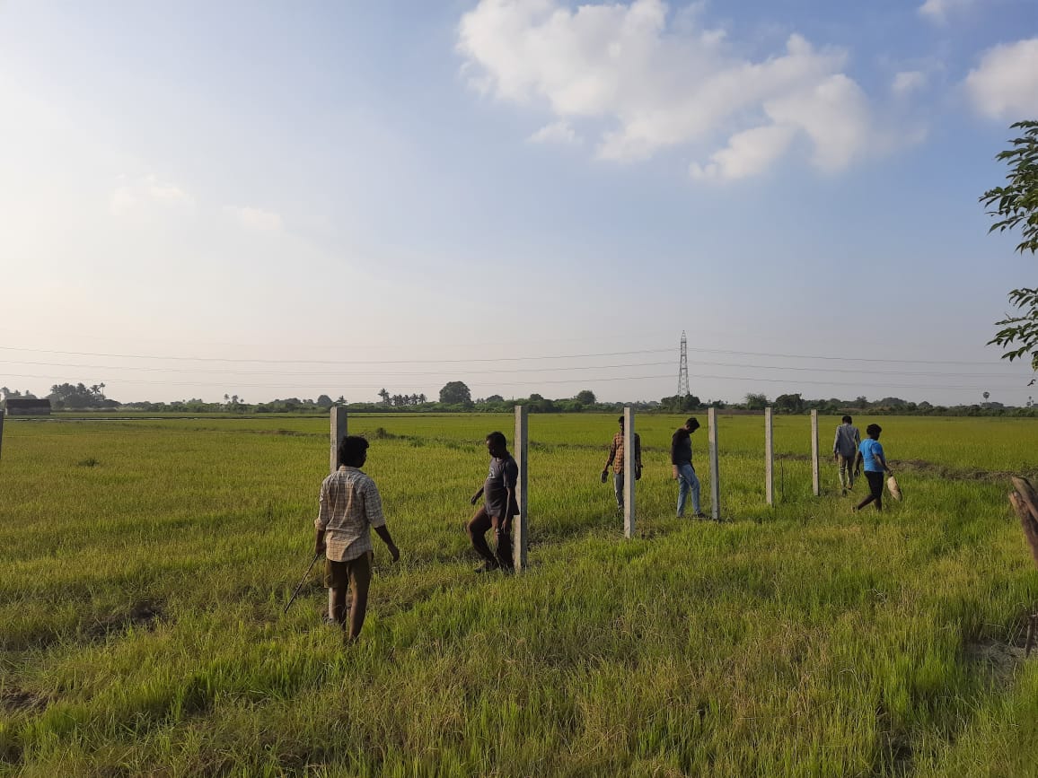 EFIVolunteer's tweet photo. E.F.I's #FenceIt at the Kollappancheri Lake

Protective outer fencing is now being installed at the lake to prevent further human intervention! 

Volunteer for India and her Environment with E.F.I

#EFI #LakesofIndia #LakeRestoration https://t.co/htjtiys0Ua
