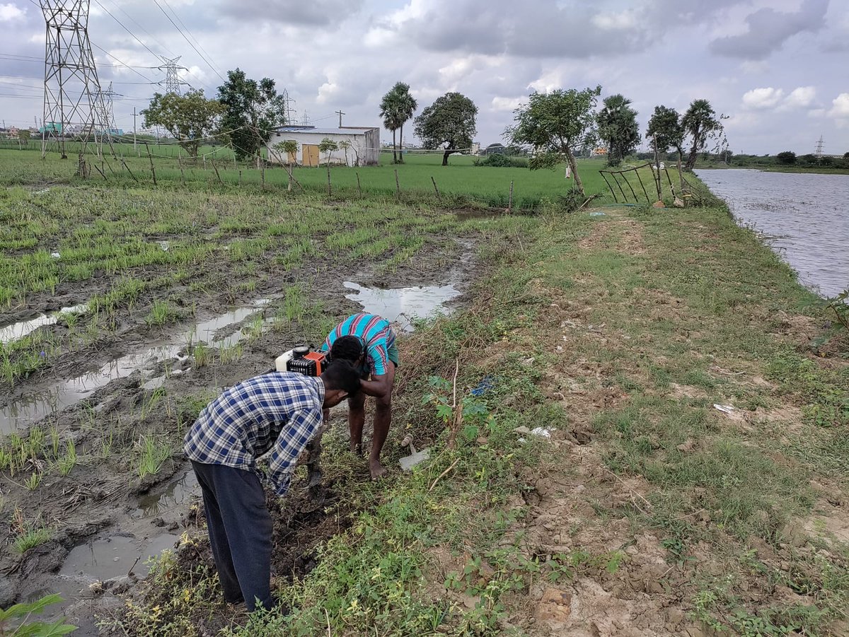 EFIVolunteer's tweet photo. E.F.I's #FenceIt at the Kollappancheri Lake

Protective outer fencing is now being installed at the lake to prevent further human intervention! 

Volunteer for India and her Environment with E.F.I

#EFI #LakesofIndia #LakeRestoration https://t.co/htjtiys0Ua