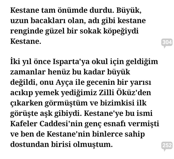 Bir kitaba başlayayım macakizindan ayri kitap okuduğum üniversitede bir  geciyor kiz karakter de hukuk okuyor bu kadat benzerlik fazla  😂 #ihtilal