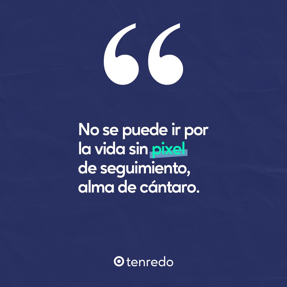 tenredo tweet media