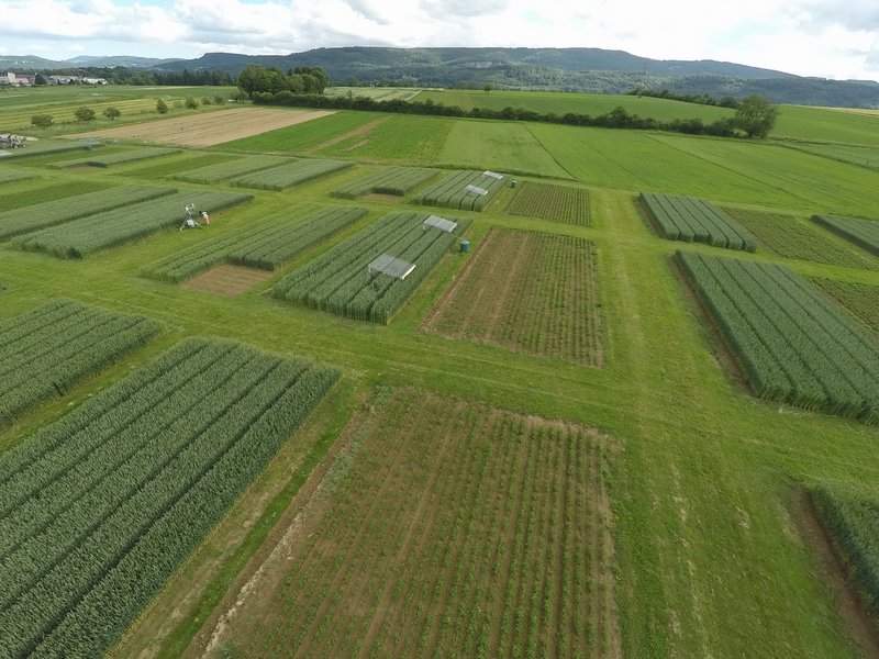 Ne_Fo's tweet photo. Der ökologische Landbau schütz die #Biodiversität &amp; kann die Folgen des #Klimawandels mindern, zeigen neue Ergebnisse des EU-Projekts #SOILCLIM.
@BTU_CS 

#BioDivNews
https://t.co/7tE568K7E0 https://t.co/NRRI50uuQu