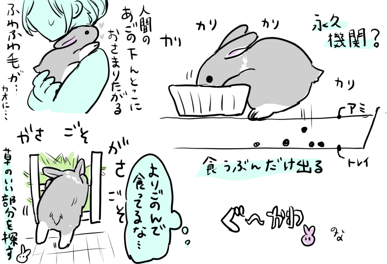 日記 グルメなとこは飼い主似かもしんない 