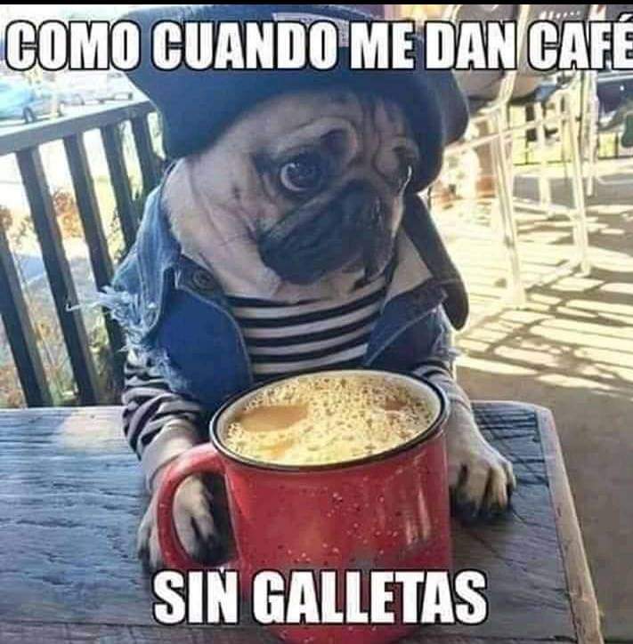 <a href="/PaolaSCruz1990/">☭𝓪𝓸𝓵𝓪 ᥫ᭡</a> <a href="/Mikol_21/">Maikonico</a> <a href="/BettyLaRosa12/">Betty la🌹</a> <a href="/reyes_medinilla/">Paula Reyes Medinilla</a> <a href="/ShadowsOfGreys/">Greys Gómez</a> <a href="/AleLRoss198/">AleLRoss</a> <a href="/MichelCarlosSa2/">Michel Carlos</a> <a href="/AnyiQva/">AnyiQva🇨🇺</a> @AlbertoBettyRi1 <a href="/CardosoYeleny/">🌹Yely🌹</a> Buenos días Pao, así me tienes . Feliz comienzo de semana😅😅🤪👇