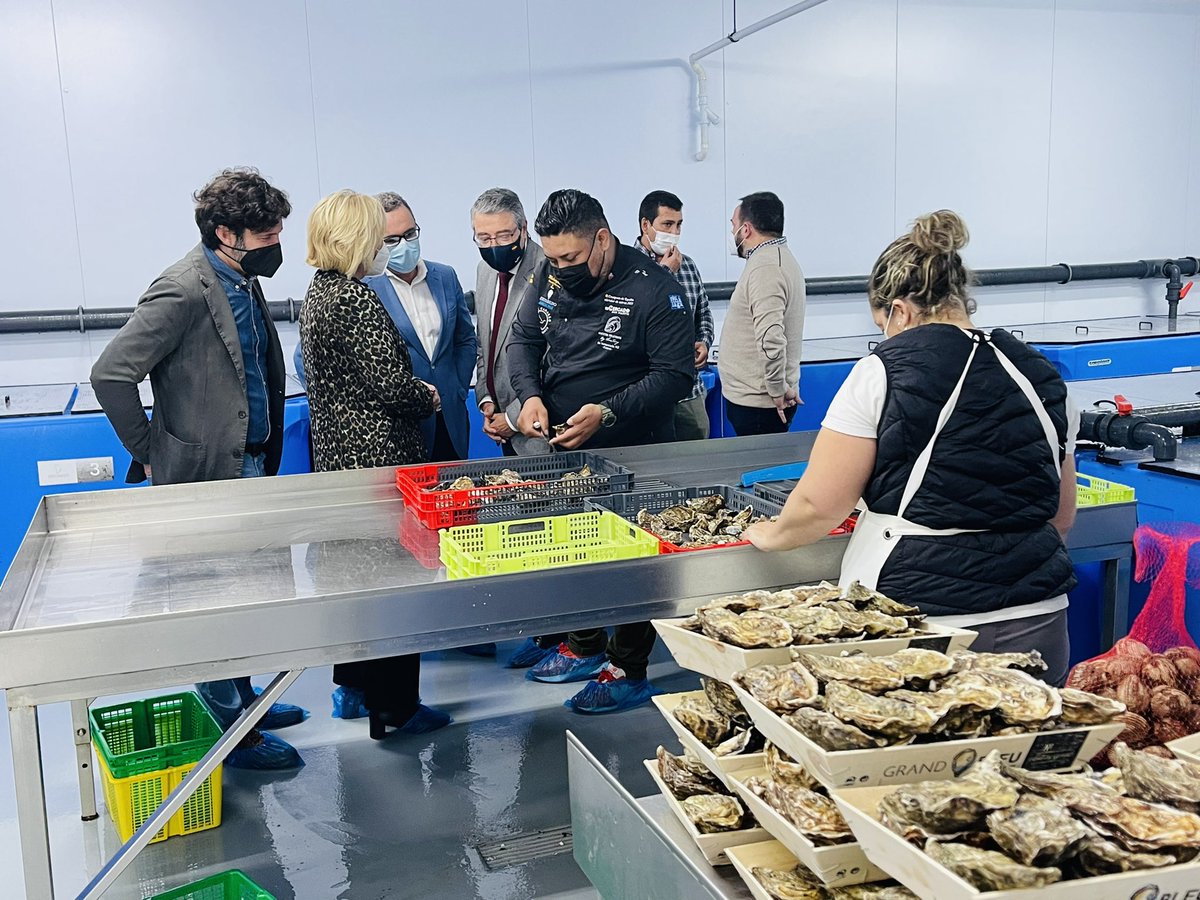 Francissalado's tweet photo. Hoy he conocido #Escobedos Mariscos Vivos. He salido muy ilusionado, no solo por la calidad de sus productos, sino por las ideas y proyectos que tienen en mente. Le deseo toda la suerte del mundo a esta empresa joven, potente e innovadora que está en #Fuengirola. https://t.co/EthaJwndm9
